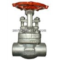 Forged Stainless Steel Gate Valves