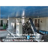 Fresh Strawberry Juice Production Line