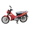 50CC & 110CC Motorcycle Moped (ZN110-RIII)