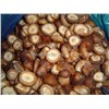 IQF Shiitake Mushroom/Frozen Shiitake Mushrooms
