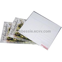 Mini CD Duplication with Postcard Mailer