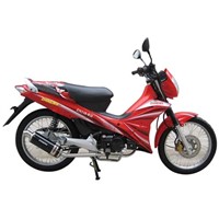 50cc And 110cc Motorcycle Cubs Zn110-Rii