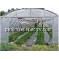 Agricultural Film/Greenhouse Film/Protective Film