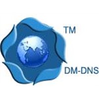 DM-DNS