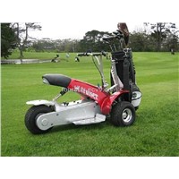 Golf Cart (SX-E0906-3A)