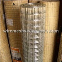 Stainless Steel Welded Wire Mesh