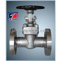 Stainless Steel Gate Valve