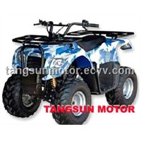 ATV (TS50/90/110-003)