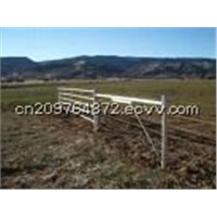 Cattle Fence