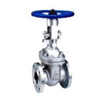 gate valve