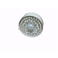 LED Human Induction Lamp