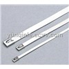 Self Locking Stainless Steel Cable Tie