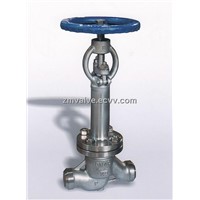 Cryogenic Globe Valve