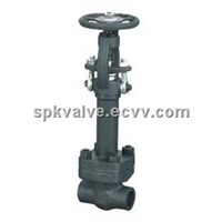 Cryogenic Gate Valve