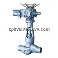 Power Station Globe Valve