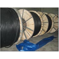 6.0/1KV PVC/XLPE insulated power cable