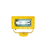 Outside Explosion-Proof Strong Flood Lamp (CBFC8100)