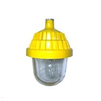 CBPC8720 explosion-proof platform lamp