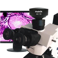 CCD Microscope Camera (MC30)