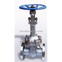 Cryogenic Gate Valve