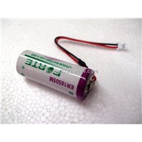 A Size Lithium Battery Cell (ER18505)
