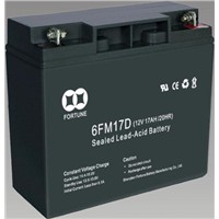 Electric Vehicle Series Sealed Lead Aicd Battery