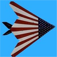 F-117B70mm r/c plane or jet (Brushless version)
