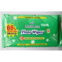 Floor Wipes