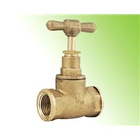 Manifold Valves