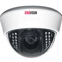 Night Vision Dome Night Vision Camera (D3003)