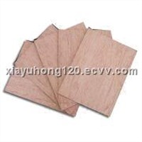 Meranti Plywood