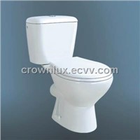 Siphonic One Piece Toilet (CL-M8521)