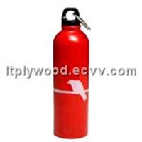 Stainless Steel Bottle