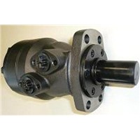 Agitator Motor