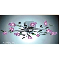 Ceiling Lamp