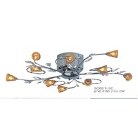 Ceiling Lamp  GZ30019-10C