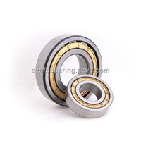 Cylindrical Roller Bearing