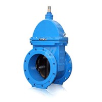 gate valve