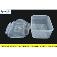 Plastic Thin Wall Injection Mould