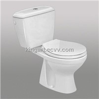 Sanitary Toilet Bidet