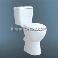 Toilet Flusher (CL-M8522)