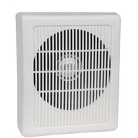 wall speaker