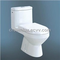 Washdown Two-piece Toilet (CL-M8504)