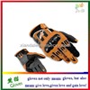 Motorcycle Gloves