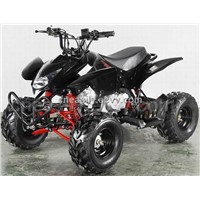 YH110 (110cc EPA Quad ATV)