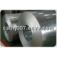 Hot Dipped Galvanized Steel Coils