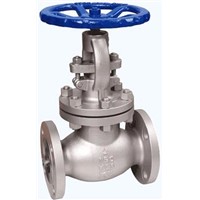API Globe Valve
