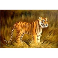 Animal oil painting