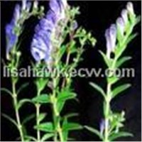Baicalin 85% 90% 95% (HPLC / UV)