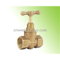 Bronze Globe Valve